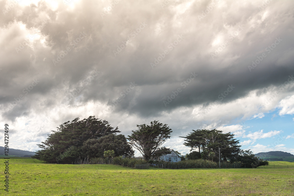 Single lonely house and trees with thick dramatic heavy clouds Single lonely house and trees with thick dramatic heavy clouds
