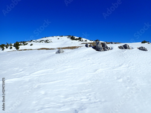 dachstein mountains in austria in winter photo