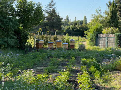 Lush garden with wooden beehives in a natural setting, promoting biodiversity and sustainable beekeeping. Blooming wildflowers provide nectar for pollinators, supporting ecological balance and organic