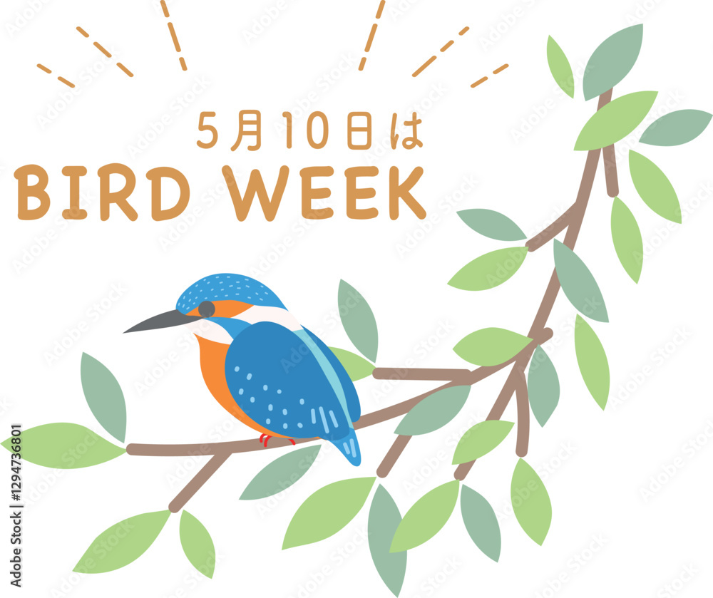 愛鳥週間 カワセミ リース 野鳥 鳥 愛鳥週間 カワセミ リース 野鳥 鳥