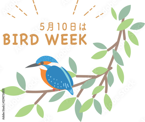 愛鳥週間　カワセミ　リース　野鳥　鳥