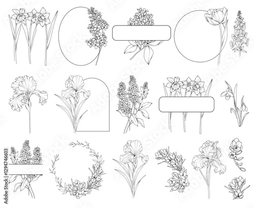 Collection of spring flowers (tulips, lilac, freesia, narcissus, crocus) bouquets and frames, botanical line drawing, vector floral line art illustration for wedding, logo, advertising, packaging