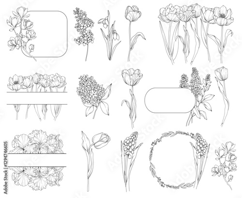 Collection of spring flowers (tulips, lilac, magnolia, narcissus, snowdrop) bouquets and frames, botanical line drawing, vector floral line art illustration for wedding, logo, advertising, packaging
