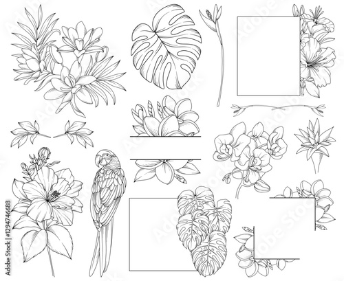 Collection of tropical flowers, leaves, plants, bouquets, frames, botanical line drawing, vector floral line art illustration for wedding, logo, advertising, packaging