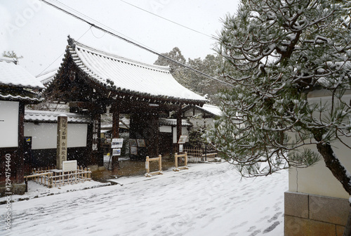 Wallpaper Mural 雪の南禅寺　金地院山門　京都市左京区 Torontodigital.ca