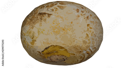 Puffball mushroom illustration
