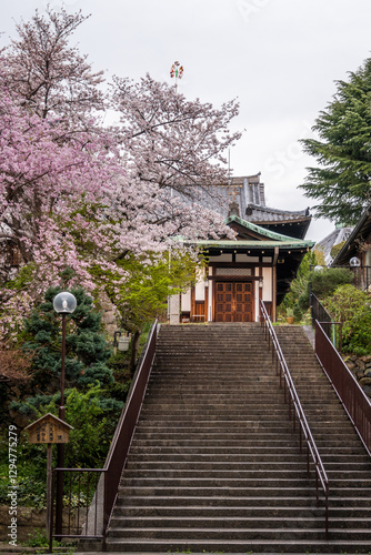 Wallpaper Mural Stone stairway leads up to Nara Christ Church, framed by flowering cherry trees. Structures like this highlight spiritual importance throughout centuries in Japan. Torontodigital.ca