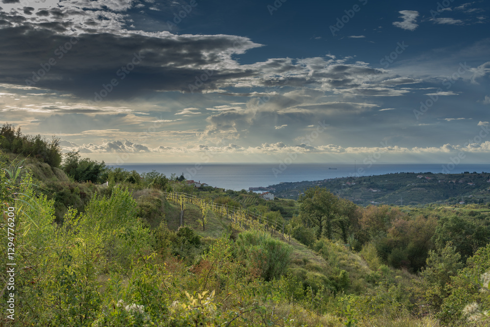 Fototapeta premium Beautiful nature hills above Izola