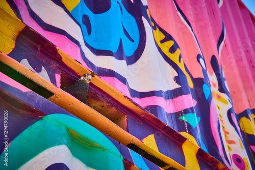 Vibrant Urban Mural with Pigeon Gas Station Las Vegas Eye-Level Perspective photo