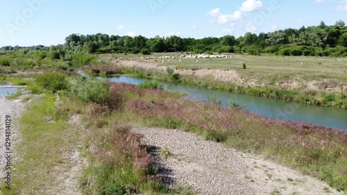 The wetlands of Suceava river