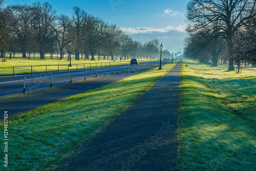 Canvas Print The Phoenix Park early in the morning