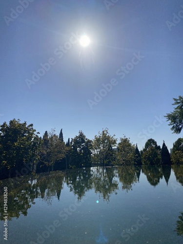 A body of water with trees in the background and a bright sun shining on it