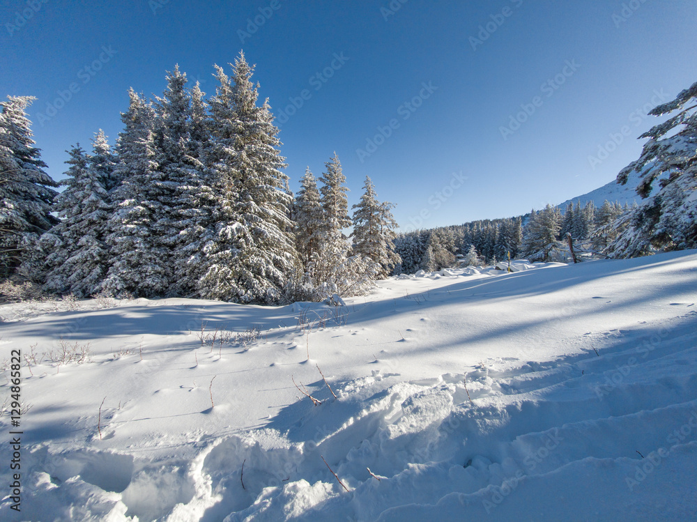 Panorama of Vitosha Mountain, Sofia City Region, Bulgaria Panorama of Vitosha Mountain, Sofia City Region, Bulgaria