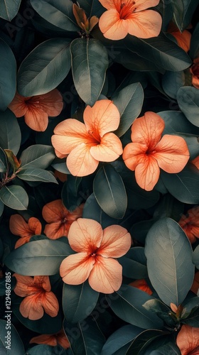 Wallpaper Mural A lush garden displays a variety of blooming azaleas with vibrant colors and healthy green foliage, creating a stunning visual experience on a bright spring day Torontodigital.ca