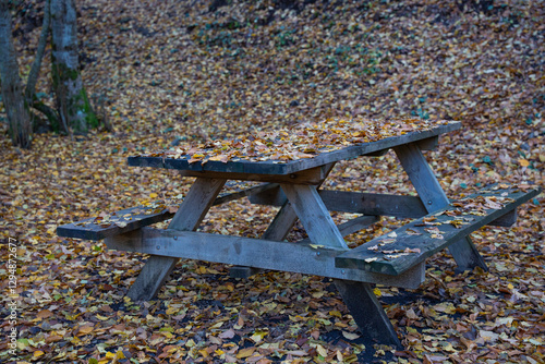 Picnic table with benches covered in autumn forest with leaves. Outdoor picnic area in fall woods