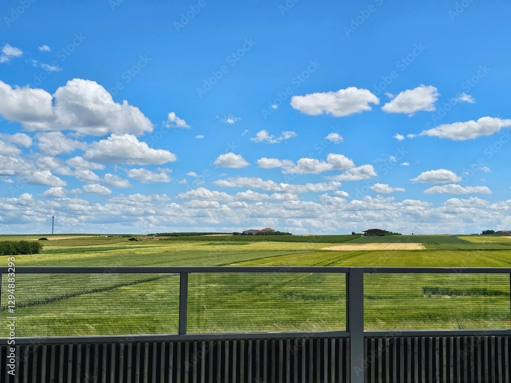 Fototapeta premium green field and blue sky