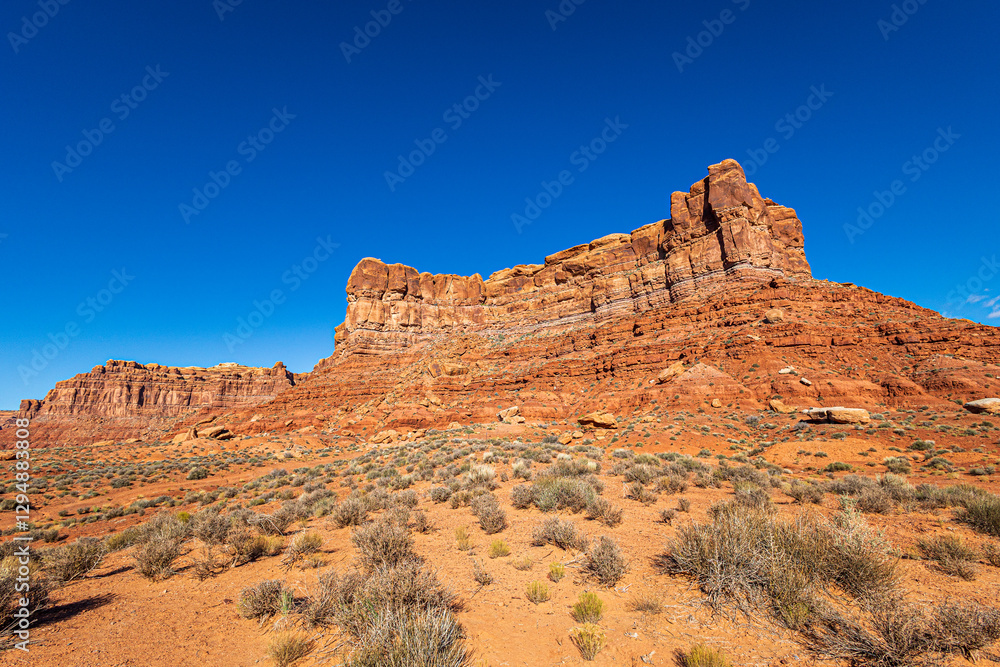 Fototapeta premium Beautiful desert landscape at Valley of the Gods near Mexican Hat Utah.