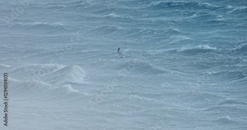 Seagull bird flying over stormy sea with huge waves dramatic seascape landscape