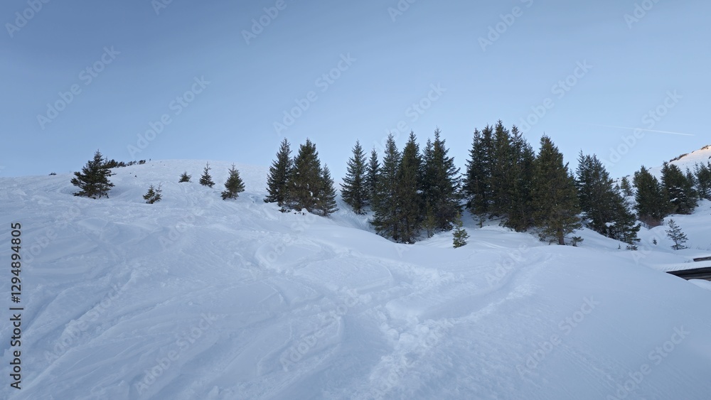 A serene winter landscape with a snow-covered hill and scattered evergreen trees. Tracks in the snow suggest recent activity, while the sky is clear and pale blue, enhancing the peaceful setting. A serene winter landscape with a snow-covered hill and scattered evergreen trees. Tracks in the snow suggest recent activity, while the sky is clear and pale blue, enhancing the peaceful setting.
