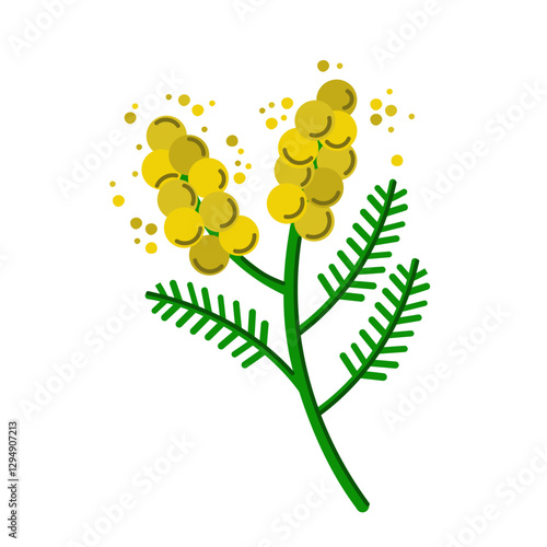 Spring Mimosa Branch Yellow Flowers