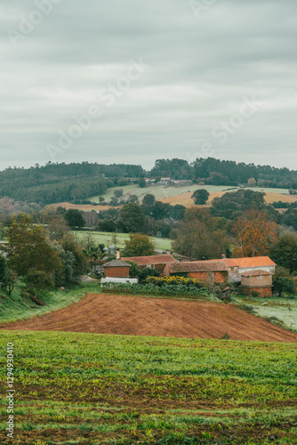 Forest landscapes and rural panoramic views on the stage from Arzua to Pedrouzo. Spain. photo