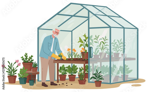 Old Caucasian man transplanting seedlings in his organic nursery. Minimalist flat style illustration