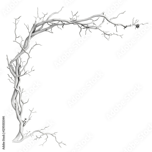 Branches frame set design nature isolated on transparent background