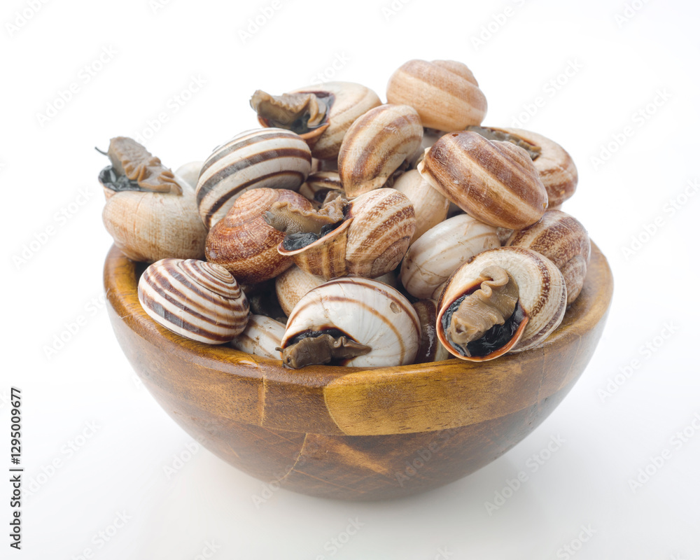 Delicious edible snails displayed in a wooden bowl ready for preparation in the kitchen Delicious edible snails displayed in a wooden bowl ready for preparation in the kitchen