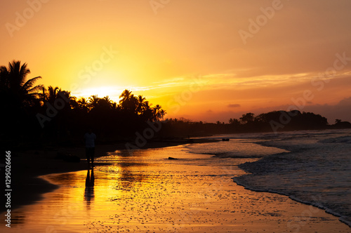 Wallpaper Mural Sunny exotic beach by the ocean with palm trees at sunset summer vacation by the caribbean sea Torontodigital.ca