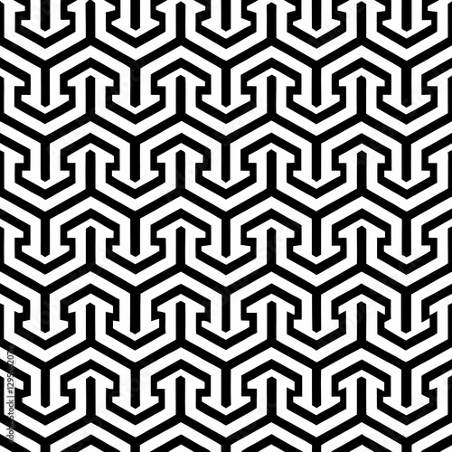Intricate black and white geometric maze pattern with interconnected lines, creating a visually stimulating and modern design