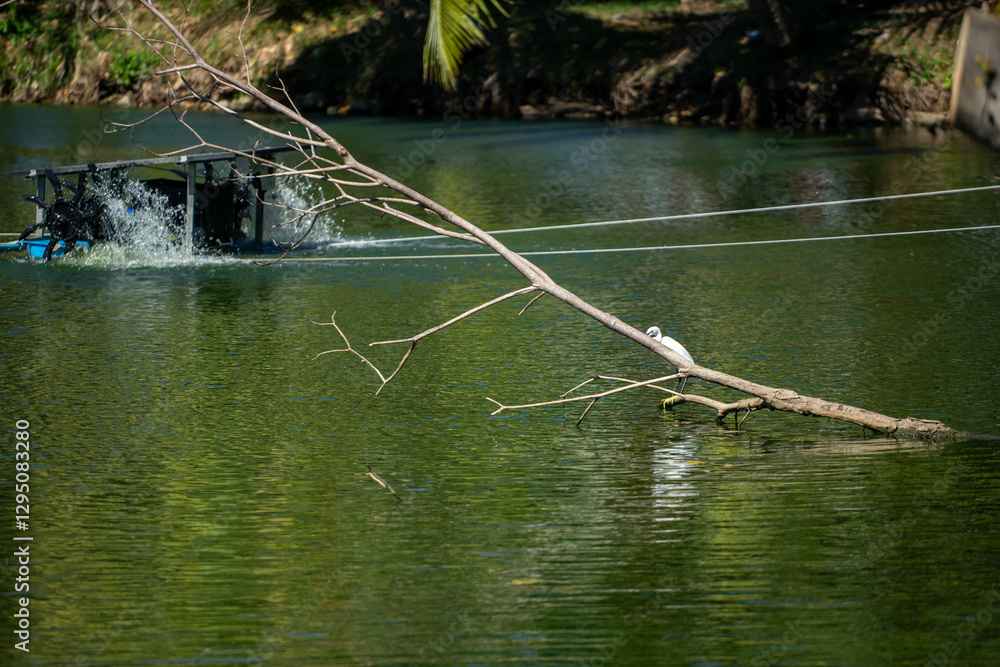 Fototapeta premium Serene River Environment with Crane Perched on Branch Over Water