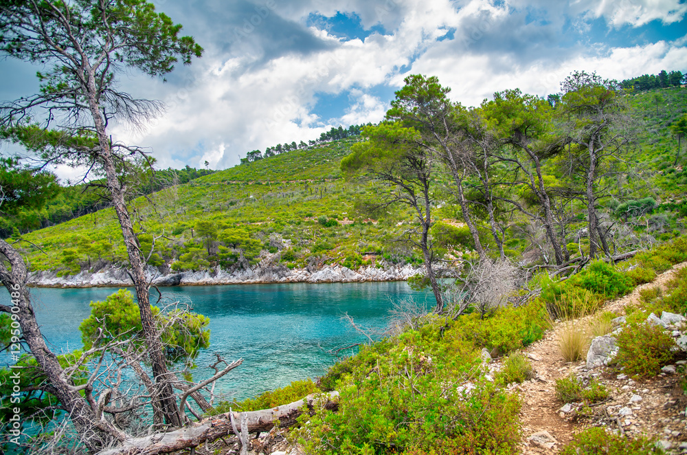 Breathtaking coastline of Skopelos Island on a sunny summer day with crystal-clear waters