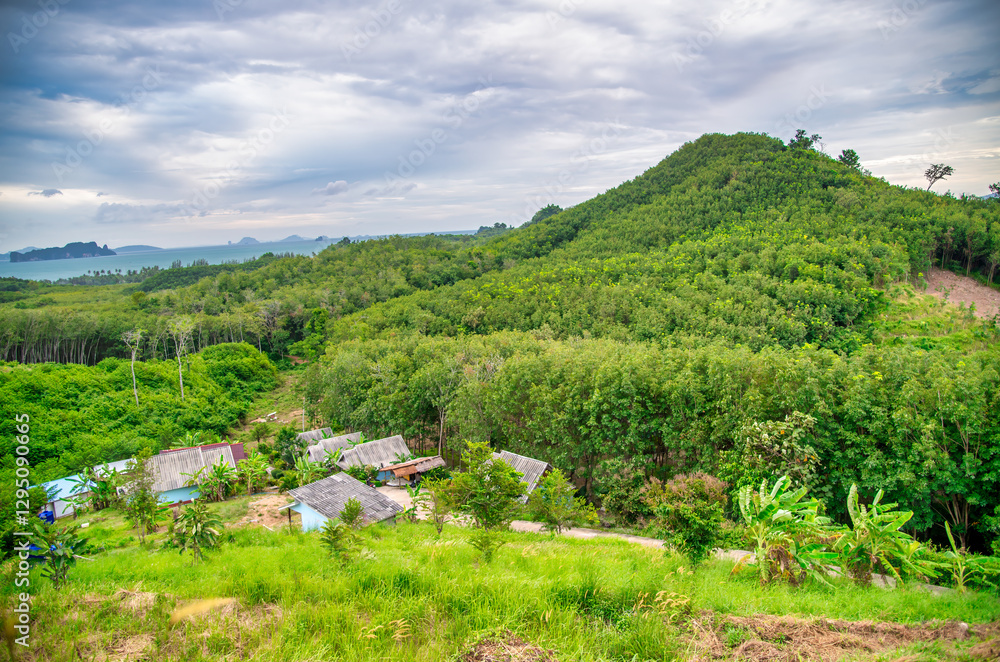 Aerial drone shot of Phuket’s countryside featuring tropical forests and small villages