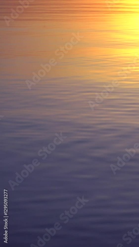 Sunlight over sea. Natural abstract background with sun and water. 