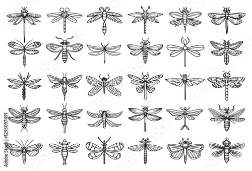 Dragonfly Icon Symbol of Transformation and Change.eps