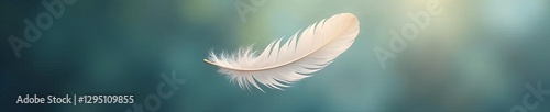 Single white feather, gently drifting on breeze ,  calm,  purity,  delicate