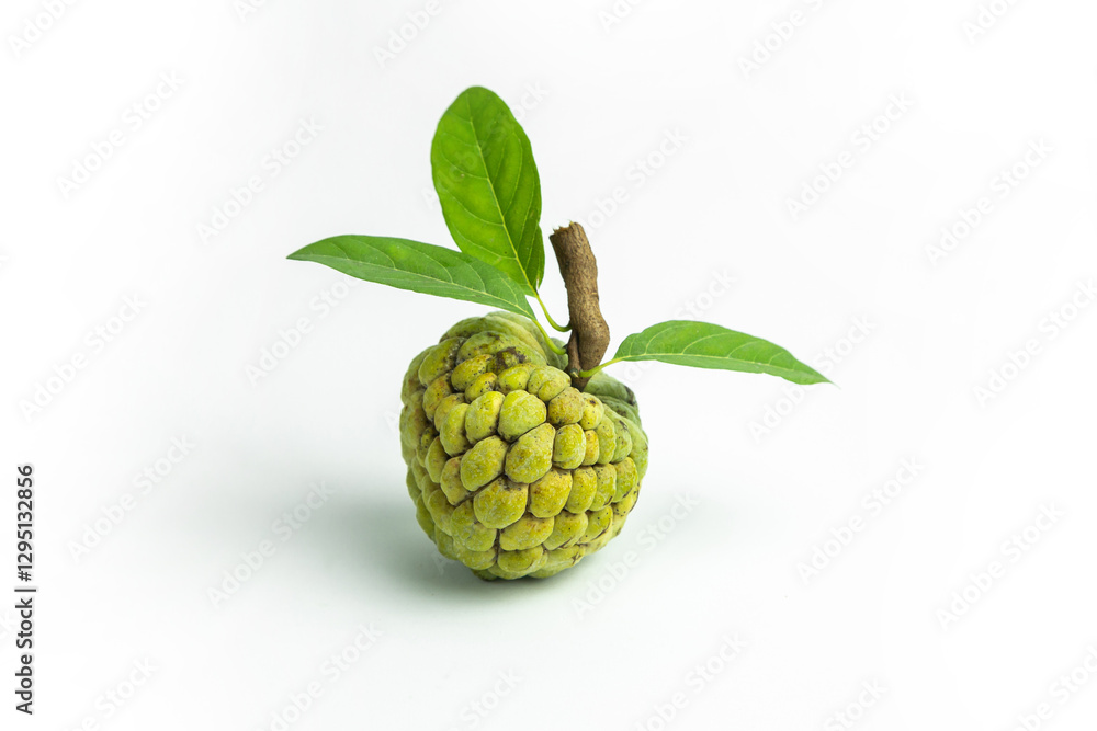 Fototapeta premium A custard apple with green leaves and a stem is isolated on a white background, viewed from a high angle