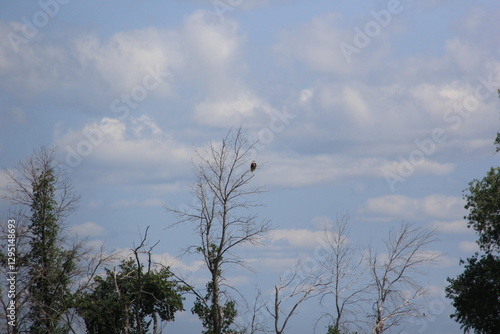 Lake Manitoba Narrows Scenery photo