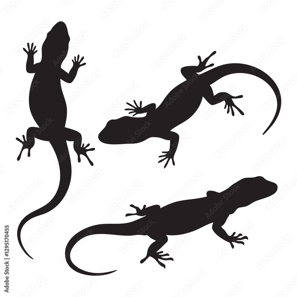 Fototapeta premium Silhouette set of Lizard on white background