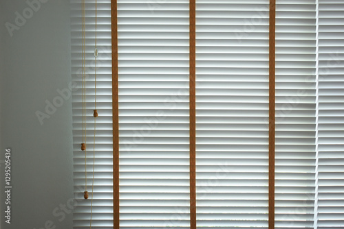 Wallpaper Mural white window blinds in home, object for decorate interior of house Torontodigital.ca