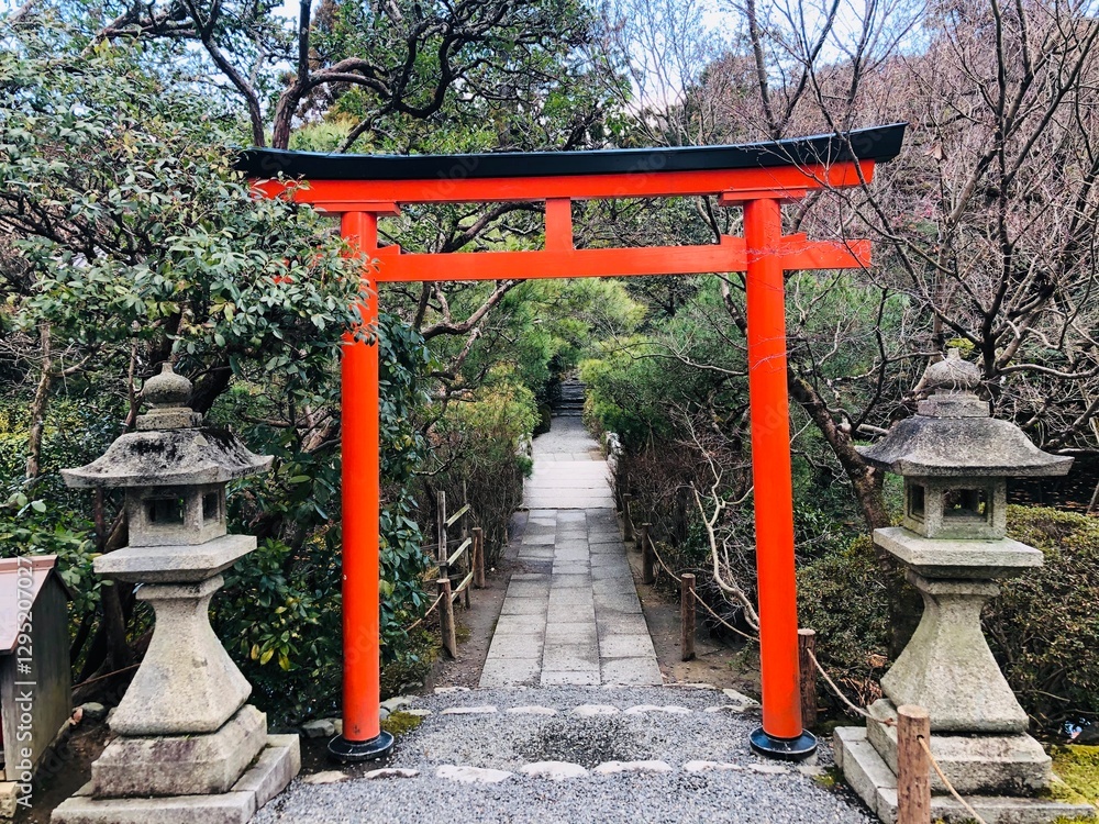 Japanese Torii Gate, Shinto gate, Shrine gate, Ryoanji Temple, Temple gate Japanese Torii Gate, Shinto gate, Shrine gate, Ryoanji Temple, Temple gate