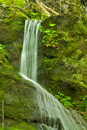 Cliff Branch Falls, Great Smoky Mountains National Park, TN