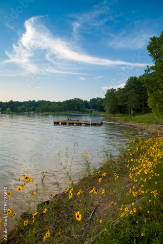 Boat Dock, Douglas Lake, Sevier County