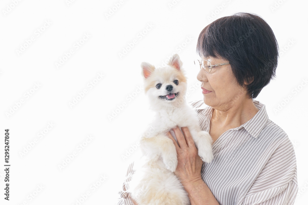 犬を買うシニア女性