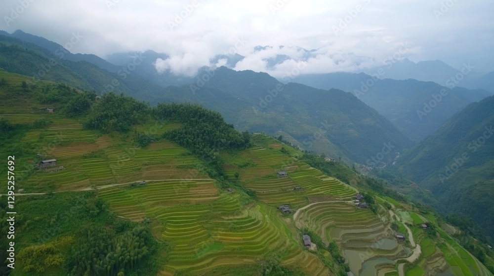 Fototapeta premium Aerial View of Rice Terraces in Mountainous Region