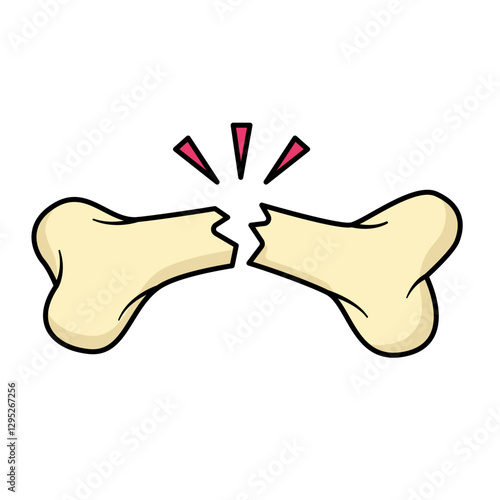 bone fracture