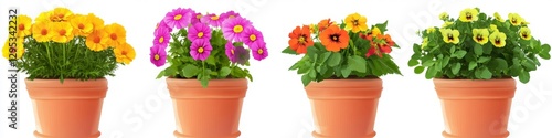 Wallpaper Mural Colorful potted flowers on white background Torontodigital.ca