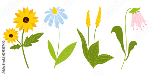 Spring, summer flowers set. Sunflower, Tulip, Camomile, Plantain. Vector flat illustrations. Easter, Spring, Summer flowers. Cartoon style