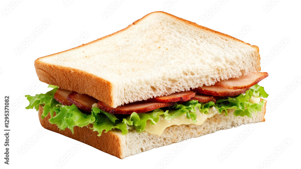 Closeup of a delicious sandwich with meat and fresh lettuce Closeup of a delicious sandwich with meat and fresh lettuce