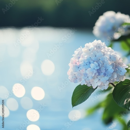 copy space photo of hydrangea flowers by the lake